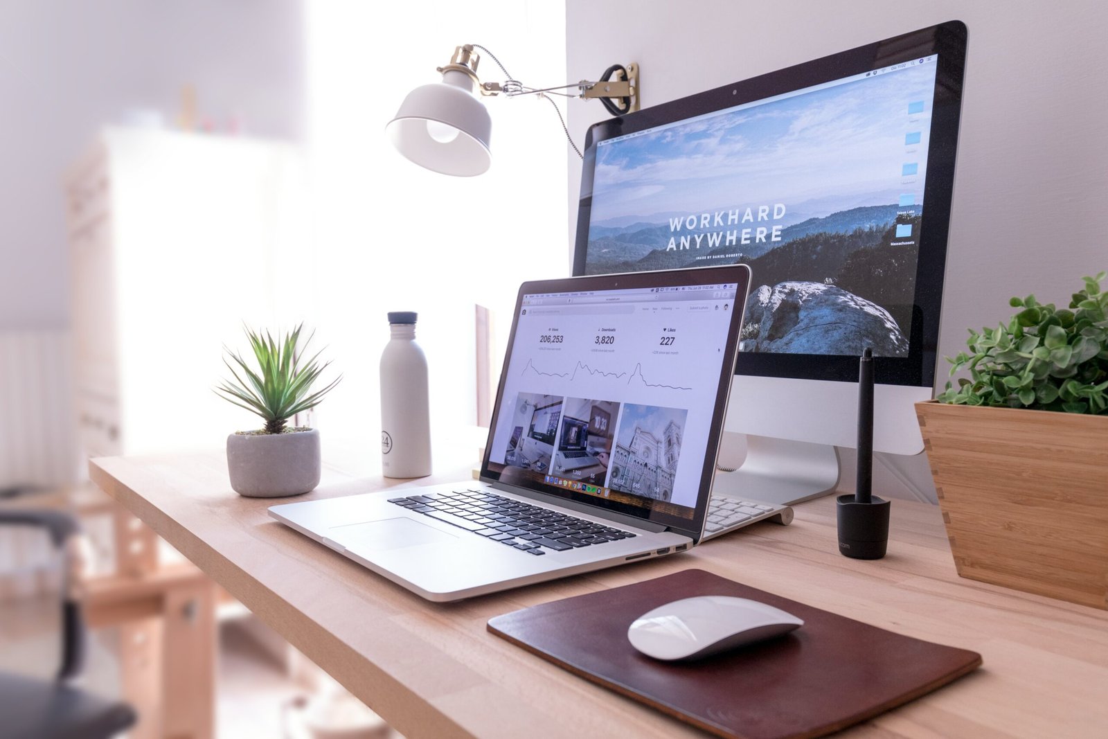 Webdesign von Seonator